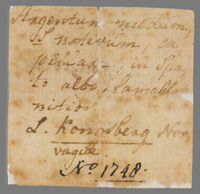 L 02649
<br/>
Label met opschrift
<br/>
<em></em>